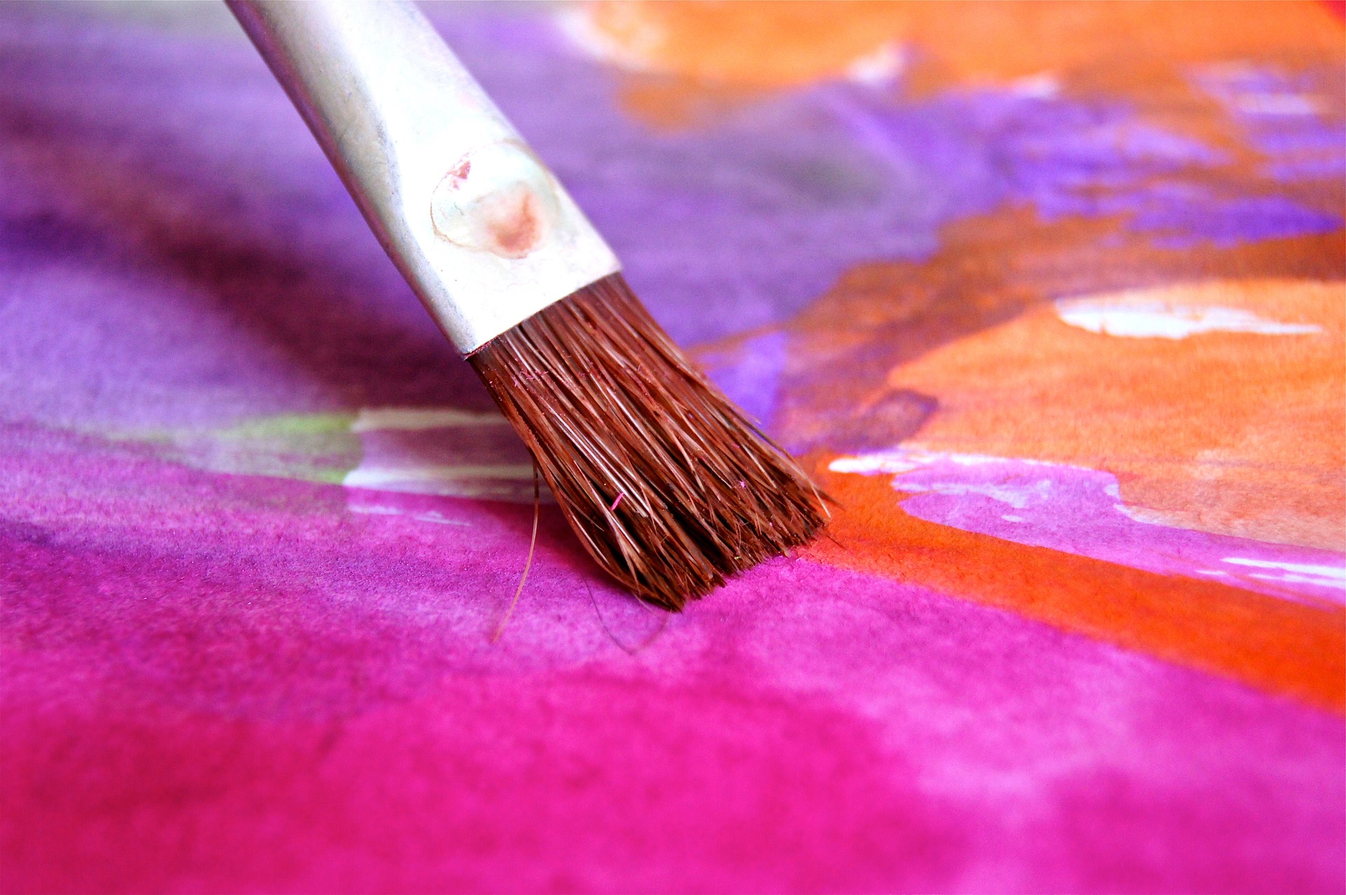 A bush in the process of painting vivid colours. Pink, orange and lilac.