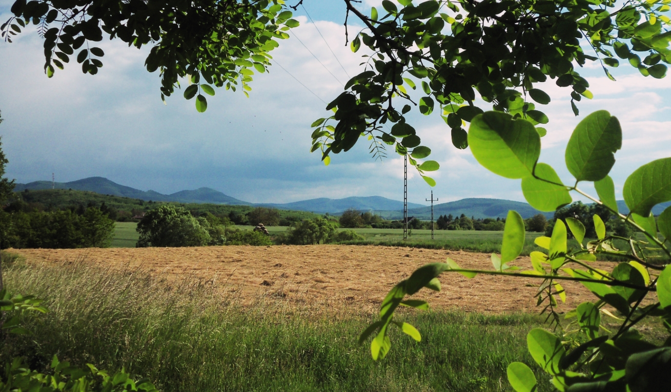 Landscape in the country with mountains, fields and trees.